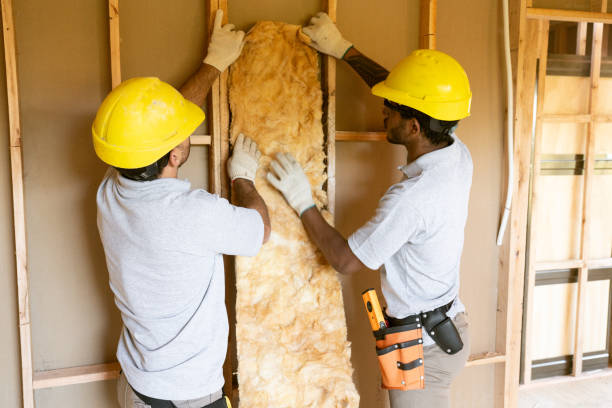 Best Blown-in Insulation  in Crystal Lawns, IL