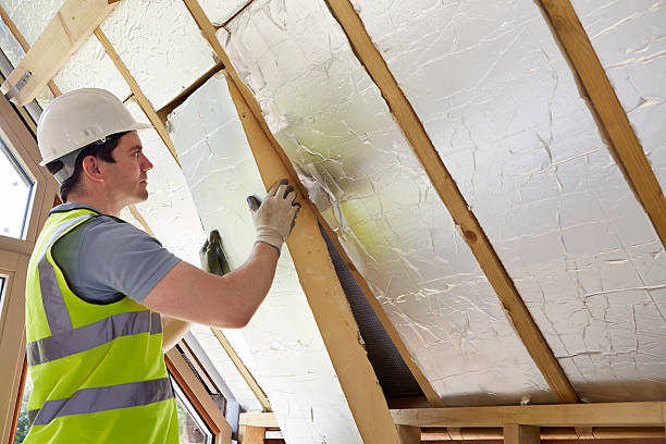 Best Insulation Contractors for Homes  in Crystal Lawns, IL